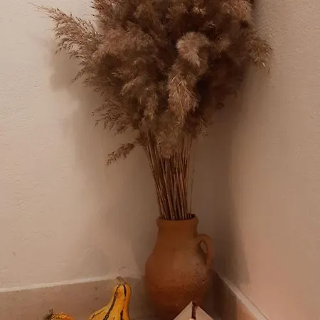 Alexante Pensión 4*