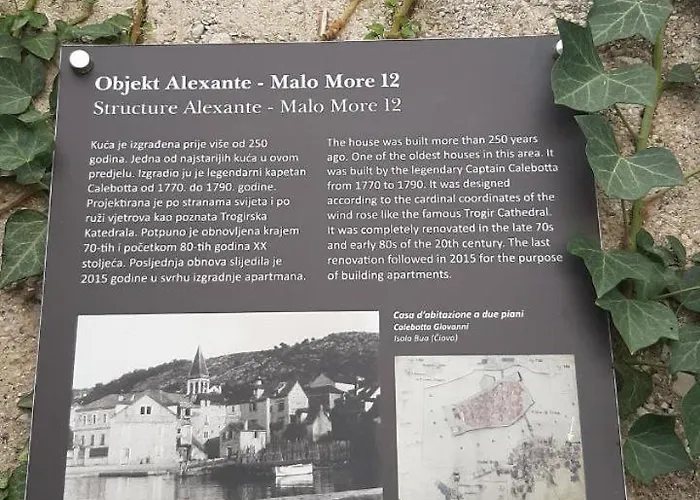 Alexante تروغير
