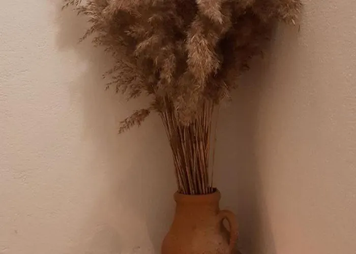 Alexante بيت ضيافة 4*