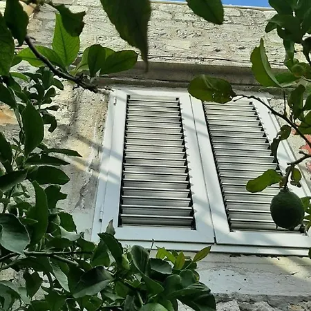 Alexante Πανσιόν