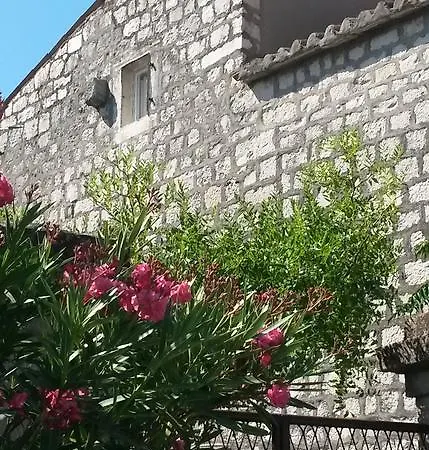 Alexante Τρογκίρ