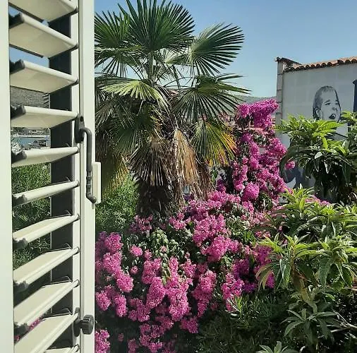 Alexante 4* Τρογκίρ