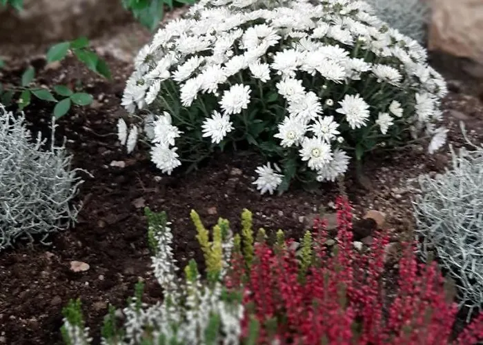 Alexante Πανσιόν