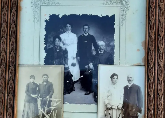 Πανσιόν Alexante