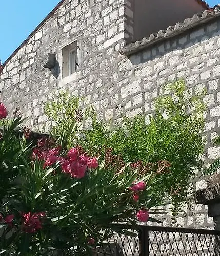 Alexante Τρογκίρ